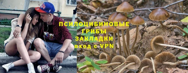 бошки Арсеньев