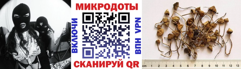 Галлюциногенные грибы прущие грибы  где купить наркоту  Мичуринск 